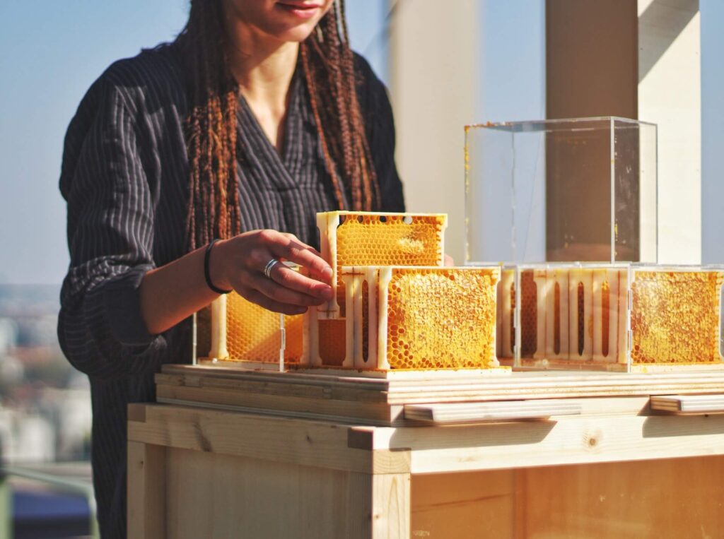 beeswax candles made by nuns